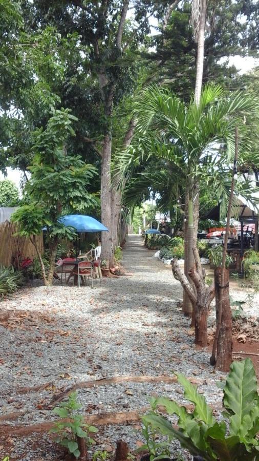פורטו פרינססה Larmar Bed And Breakfast חדר תמונה